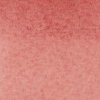 Winsor & Newton watercolor promarker 061 burnt red