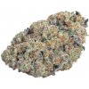 Growers Choice - Double Donny Burger 5 ks - Semená neobsahujú THC