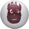 Wilson Cast Away