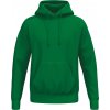 Erima TS Hoody 2072573 smaragd