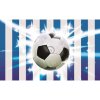 Fototapeta na stenu - FT0511 - Futbalová lopta 175cm x 250cm - Vlies 110gr