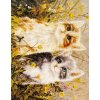 Diamantové maľovanie 5D 30x40 cm Mačky