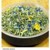 BIOTATRY H&B Ovocný čajíček Liptov 50 g 50 g