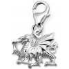 Strieborný prívesok s karabínkou - Drak