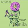 Brant Bjork Trio: Once Upon A Time In The Desert - Brant Bjork Trio