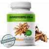 MycoMedica CORDYCEPS CS-4 extrakt MycoMedica 90 kapsúl