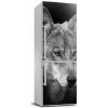 Nálepka fototapeta chladnička Portrét vlka 60x180 cm