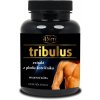 4Slim Tribulus Terrestris Fruit 500 mg 90 kapslí