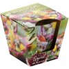 BARTEK FRUITFUL Tropical Salad 115g – sviečka v skle
