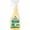 Frosch BIO Orange multifunkčný čistiaci prostriedok na lesklé povrchy s vôňou pomaranča v spreji 500 ml
