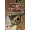 České tajemno 2 - Arnošt Vašíček
