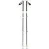 Black Diamond Expedition 3P Ski Poles