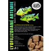 Lyofilizované artemie (kocky) , Vyberte velikost 100g. 1250ml.