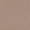 Cersanit R400 Beige Brown 30X30 G1 glaz.gres-dlažba, mraz, R10, W123-001-1,1.tr. W123-001-1