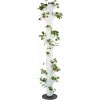 Gusta Garden SISSI STRAWBERRY Samozavlažovací kvetináč Infinity 10 poschodí, biely GG-100529