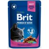 Brit Premium Cat kapsička Chicken & Turkey SET 24x 100 g