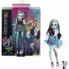 Mattel Monster High Doll Frankie Stein With Pet HHK53