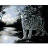 Diamondi Diamantové maľovanie - BIELY TIGER A RIEKA (D. RUSTY RUST) Rámovanie: vypnuté plátno na rám, Rozmer: 40x50 cm