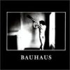 Bauhaus, BAUHAUS: IN THE FLAT FIELD CD, CD
