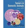Tumors in Domestic Animals - Donald J. Meuten