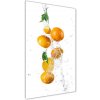 Vertikálny foto obraz akrylový na stenu Pomaranče 50x100 cm
