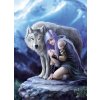 Puzzle Clementoni Anne Stokes Protector, 1000 dielikov