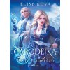 Čarodějka - Dědictví mrazu - Elise Kova