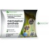 Parazitické hlístice proti mravencům - Nemaplus Antfree 5mil