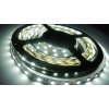 eLite LED pásik SMD5050, studená biela, 12V, 1m, 60 LED/m