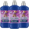 Coccolino Purple Orchid aviváž 1,275 l 51 PD