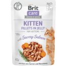 Brit Care Cat Fillets in Gravy with Savory Salmon 24 x 85 g