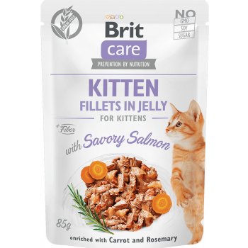 Brit Care Cat Fillets in Gravy with Savory Salmon 24 x 85 g