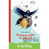 E-kniha Stratený zajko na Islande - Diana Mašlejová, Adela Režná (ilustrácie)