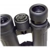 Braun Compagno 8x34 WP