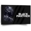 Sablio Obraz BLACK PANTHER Scrape - 60x40 cm