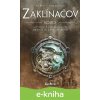 Zaklínačov kódex - Alain T. Puysségur