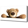 Foto obraz tlačený na plátne Plyšový medvedík 100x50 cm