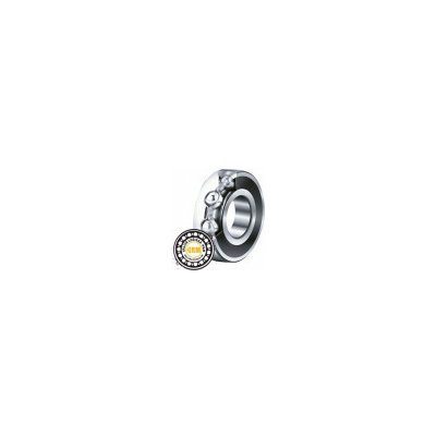 W 6204 2RS