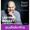 Labyrint bolesti - Pavel Kolář