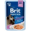 BRIT - Kapsička BRIT Premium Cat Delicate Fillets in Gravy with Salmon for Sterilised 85 g