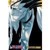Bleach, Volumes 13-15 (Kubo Tite)
