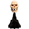 Weta Workshop Lord of the Rings - Skull of Lurtz Minuature - 15 cm, 861304356