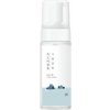Round Lab 1025 Dokdo Bubble Foam - 150 ml