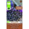 MoravoSeed Bio Semená na klíčky Kapusta červená 10 g