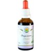 Salvia Paradise Bacopa monnieri Brahmi AF tinktura 50 ml