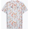 Pánske futbalové tričko PUMA Neymar JR Creativity Jersey puma white/hot heat