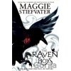 The Raven Boys - Maggie Stiefvater