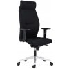 Kancelárske záťažové kreslo Lei 1824 SYN BN7 čierne + podrúčky