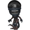 figúrka Aliens Romulus - POP! - Scorched Xenomorph - FK82659 POP Alien