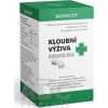 DSL Food s.r.o. kloubní výživa dvojitá sila - Woykoff - 1x60 ks